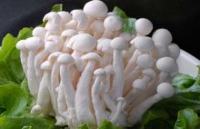 排骨白玉菇汤营养价值