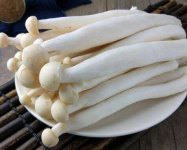 海鲜菇的功效作用以及吃法有哪些？