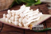 白玉菇炒蒜苔的做法