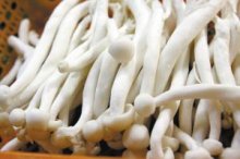 蟹味菇跟海鲜菇有什么区别