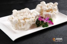 白玉菇的功效与食用禁忌有哪些？