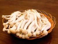 白玉菇跟海鲜菇的区别