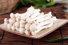 白玉菇的功效与作用—提高免疫力