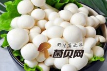 干煸白玉菇怎么做好吃