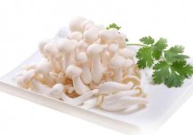 白玉菇的营养价值及功效