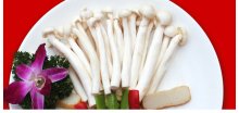 海鲜菇搭配禁忌能和菠菜