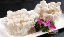 白玉菇的保存方法，白玉菇有苦味能吃吗？