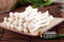 白玉菇烧豆腐怎么做好吃