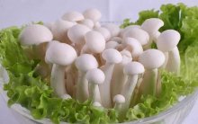 白玉菇有哪些功效？白玉菇的食用注意事项