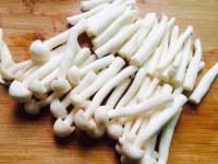食用菌中的“金枝玉叶”——白玉菇的简介