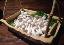 白玉菇饺子馅料的做法：白玉菇让饺子更美味