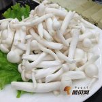 白玉菇牛肉的做法大全