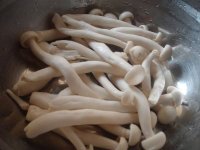 小孩咳嗽能吃海鲜菇吗？有什么好处？
