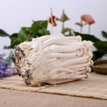 冰箱里海鲜菇长白毛可以吃吗？怎样保存海鲜菇？