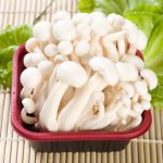 白玉菇长了白毛能吃吗-如何挑选好的白玉菇