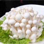蟹味菇海鲜菇和白玉菇
