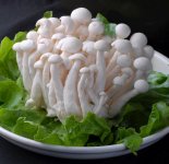 白玉菇怎么炒才好吃：丝瓜烩白玉菇