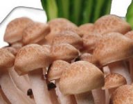 豆腐海鲜菇汤要煮多久，教你豆腐海鲜菇汤美味又简单的做法