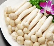 海鲜菇和白玉菇的图片