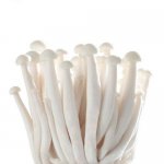 海鲜菇一般多少钱一斤？长白毛可以吃吗？和蟹味菇有什么区别？