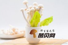 海鲜菇不焯水可以直接吃吗？怎样做海鲜菇最好？