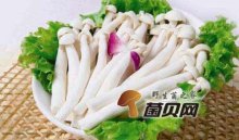 海鲜菇和白菜可以炒着吃吗