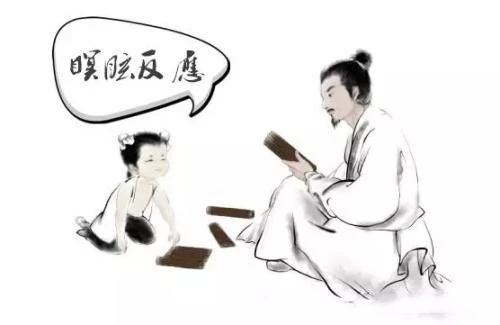 采来的野生灵芝怎么处理