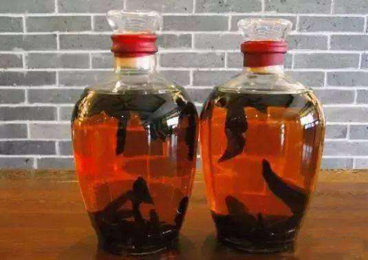 藏灵芝怎么吃最好?推荐5种吃法