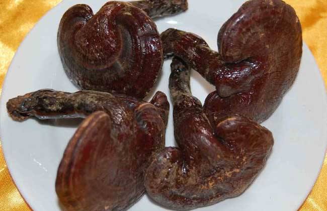 长期吃灵芝有害吗？食用灵芝该注意些什么？