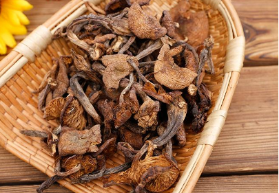 干榛蘑什么样的好，榛蘑的挑选方法