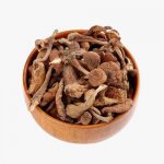 东北野生榛蘑的价格多少钱一斤？