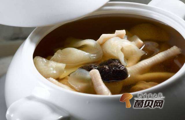 黑虎掌菌的做法煲汤