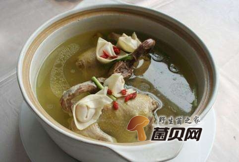 黑虎掌菌的做法煲汤