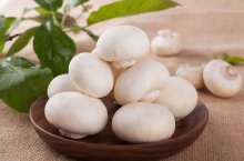 口蘑怎么做好吃又还简单，教你口蘑三种营养好吃又简单的做法