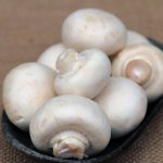 新鲜口蘑的储存与和食用方法