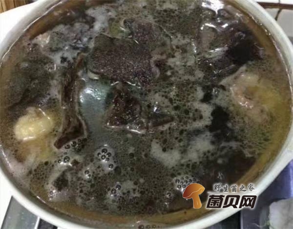 黑虎掌菌功效与作用能降低胆固醇、提高人体免疫力