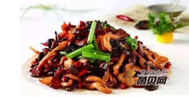 黑虎掌菌的功效与作用及食用方法有哪些？