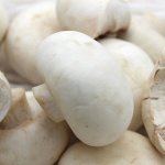 口蘑的功效和作用，能预防骨质疏松