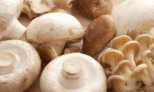 口蘑有毒吗？吃口蘑有什么功效与作用？