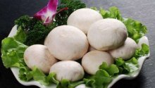 口蘑能和豆腐一起吃吗？口蘑和豆腐怎么做？
