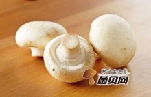 口蘑的营养价值有哪些？食用口蘑有什么好处？