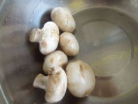 怎么正确的清洗口蘑？教你清洗口蘑的小妙招