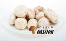 口蘑的食用建议和烹饪技巧