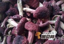 孕妇适合吃红菇吗？吃红菇要注意什么问题？