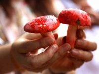 吃红蘑菇有什么好处吗
