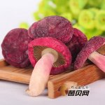 孕妇可以食用红菇吗？孕妇食用可以滋阴补血