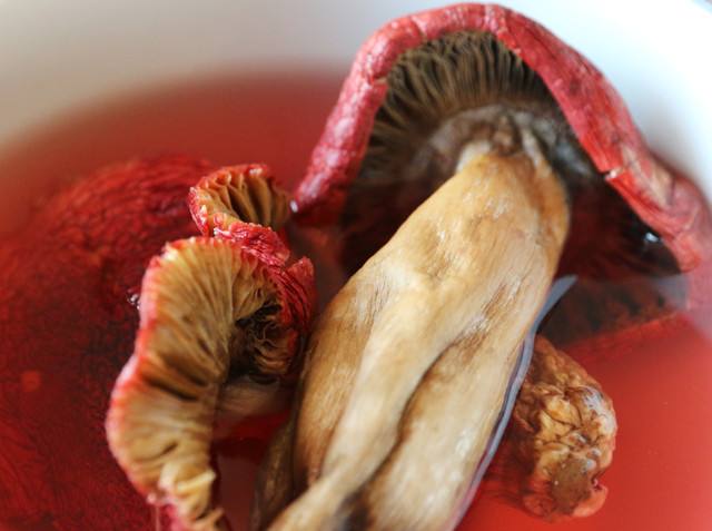 怎么看红菇是不是染色的，详细介绍红菇的鉴别方法