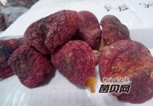 红菇可以怎么吃？红菇炖汤的做法